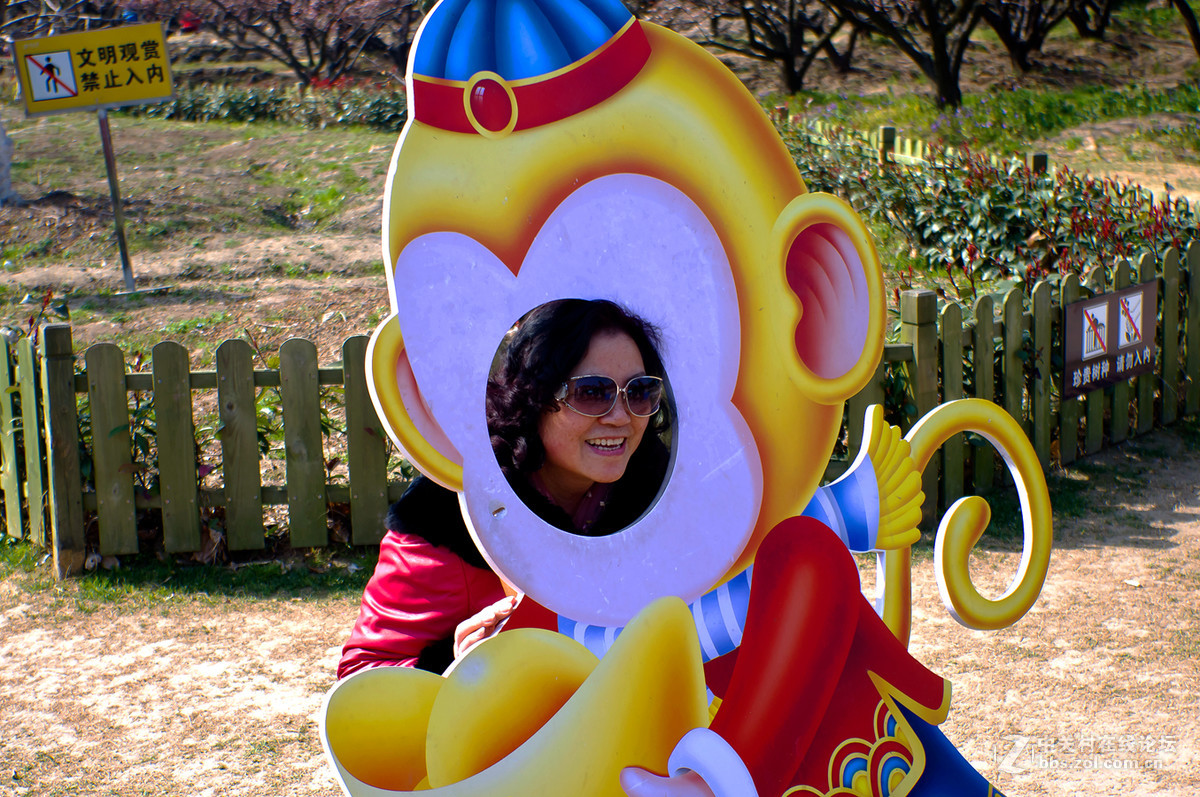 人在花丛世纪梅园杂拍