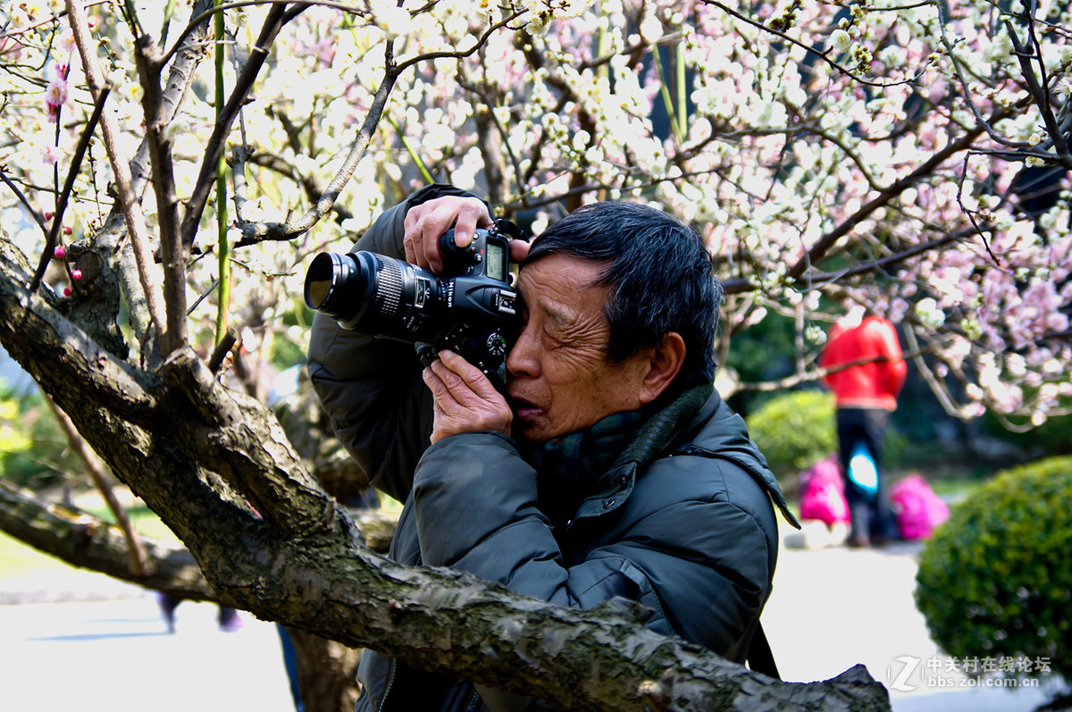 人在花丛世纪梅园杂拍
