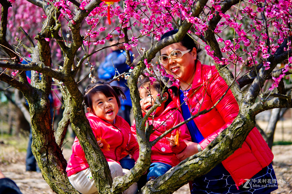 人在花丛世纪梅园杂拍