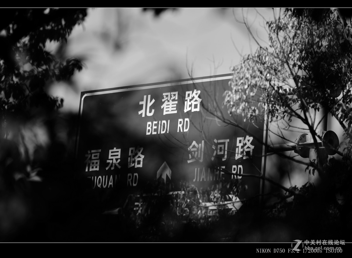 阳春三月，草长莺飞，万物复苏。 花丛盛开的点点春意，怎能不捕捉？