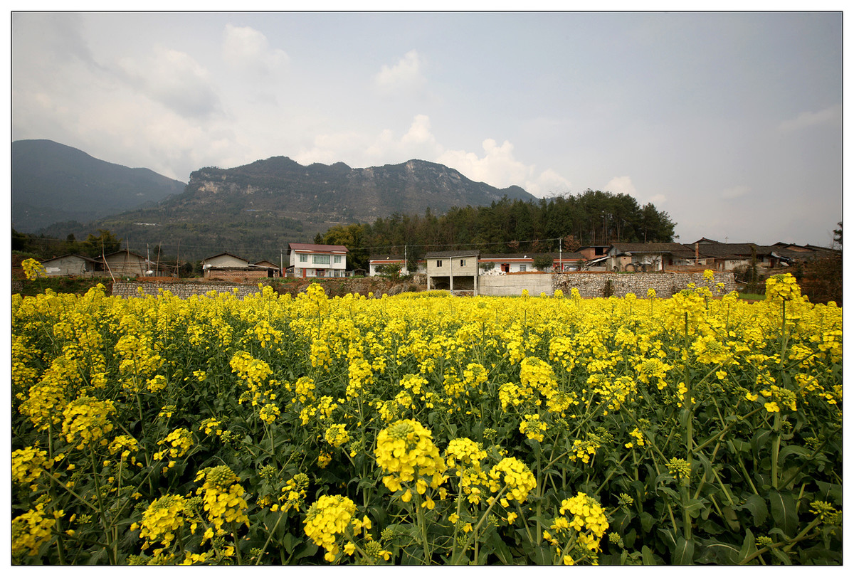 纪实 阳春三月(十二)
