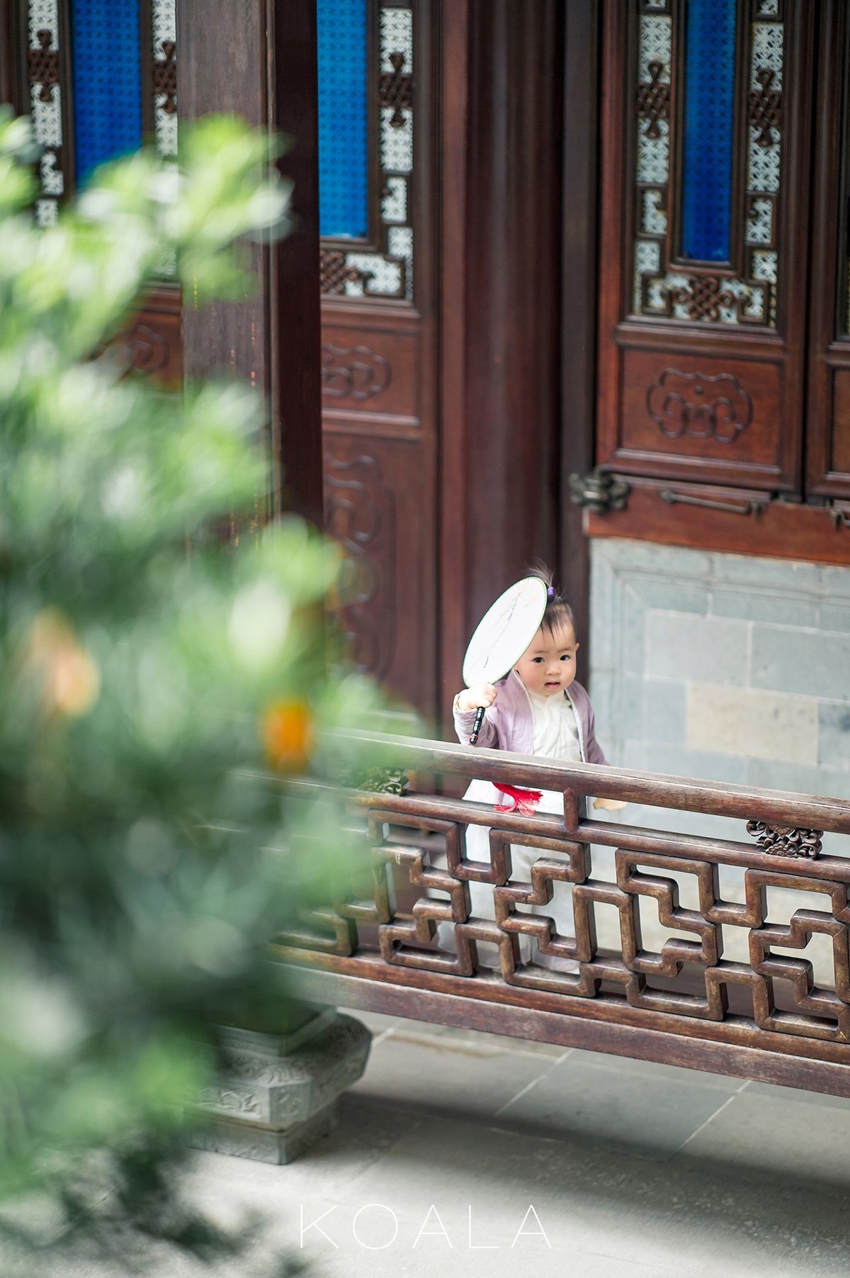 【考拉作品】百年胡宅一日游