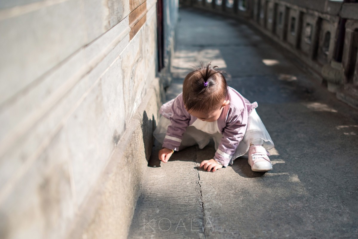 【考拉作品】百年胡宅一日游