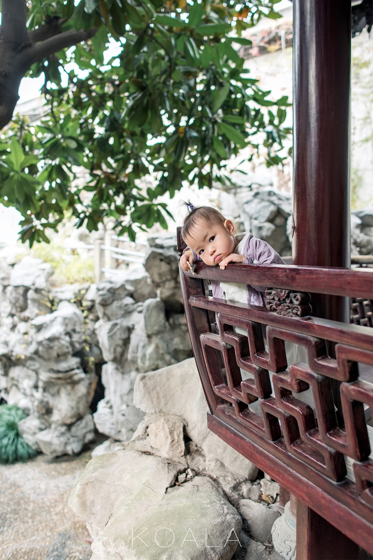 【考拉作品】百年胡宅一日游