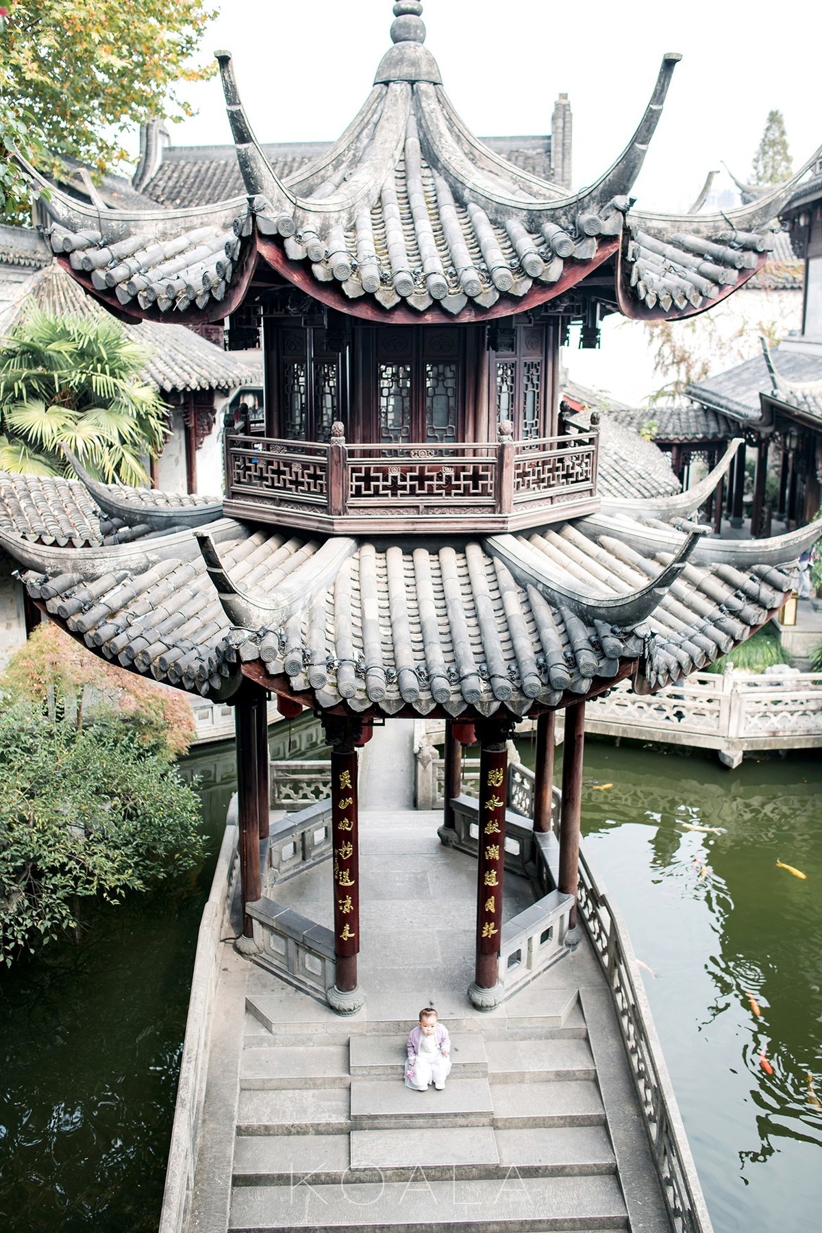 【考拉作品】百年胡宅一日游