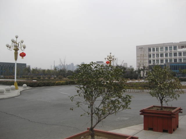 #佳能G族-年味#校园里的春节灯笼高挂