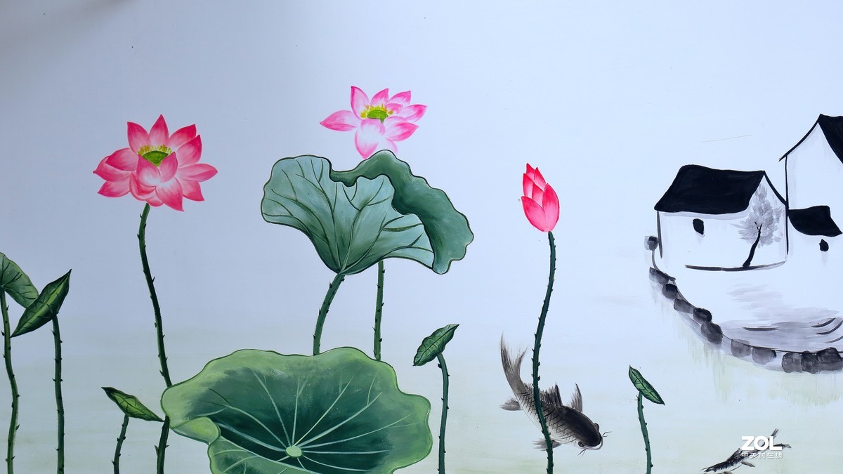 南京中山植物园荷花池