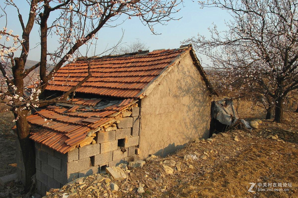 『冬去春来』123...12p