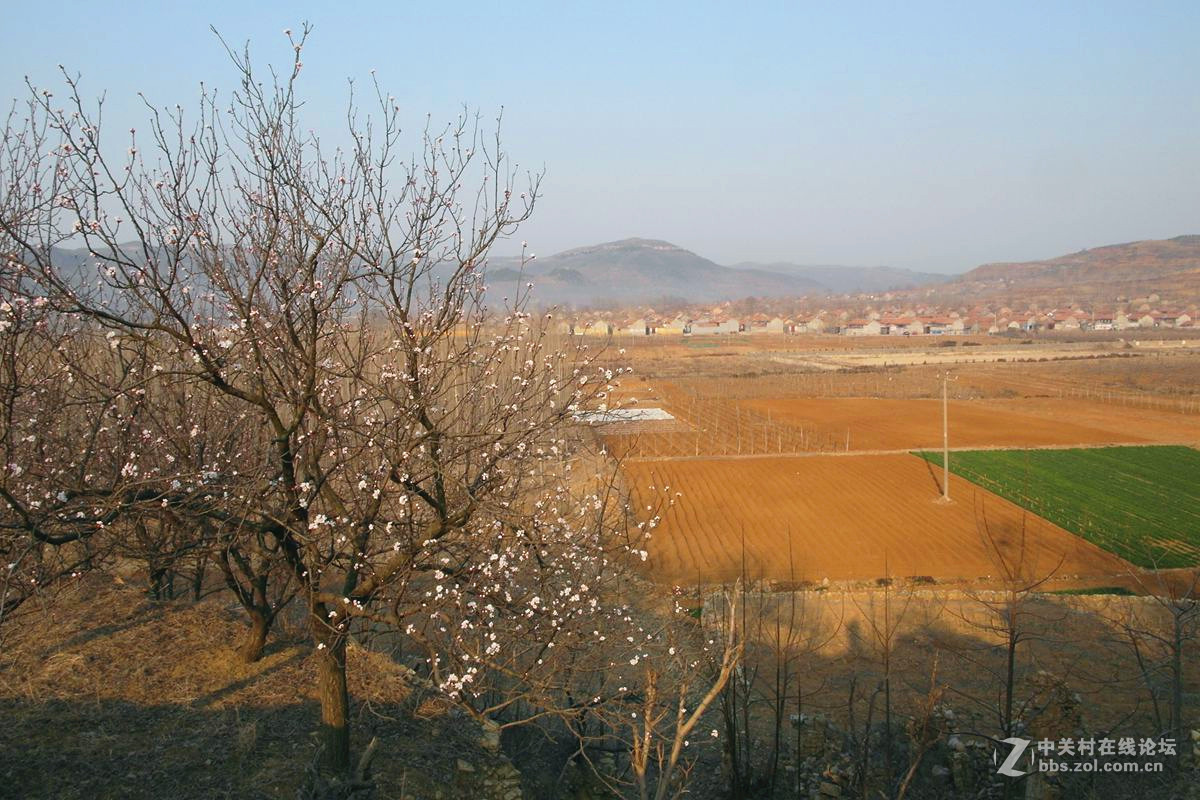 『冬去春来』123...12p