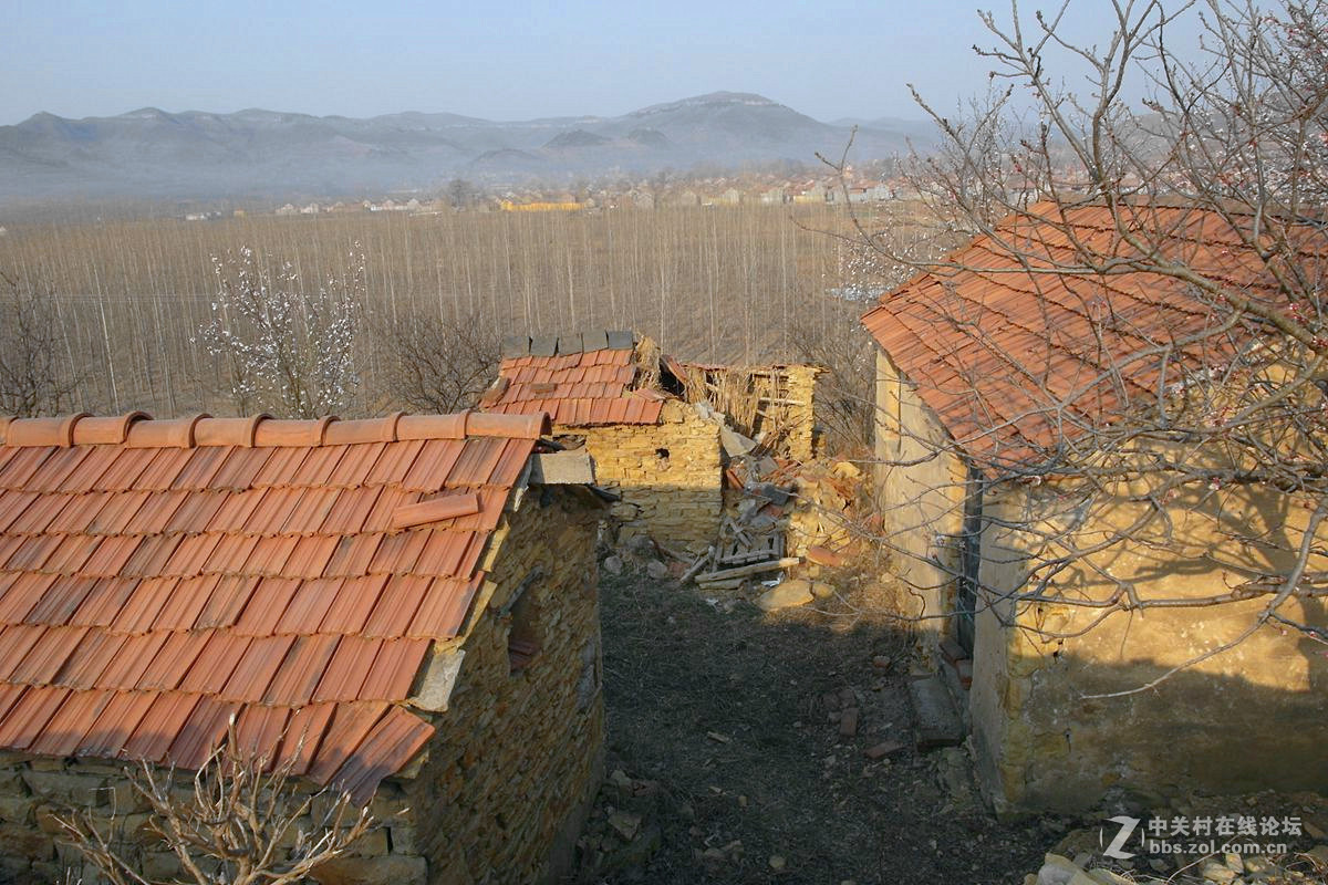 『冬去春来』123...12p