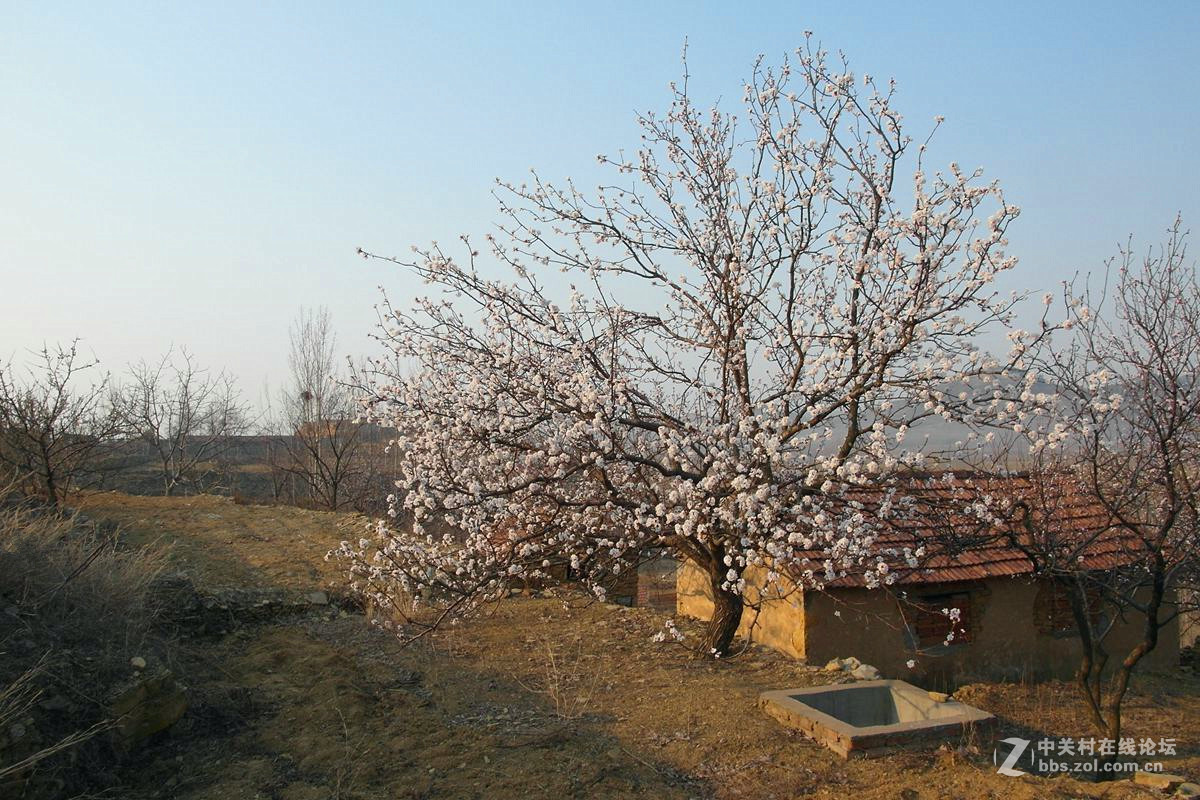 『冬去春来』123...12p