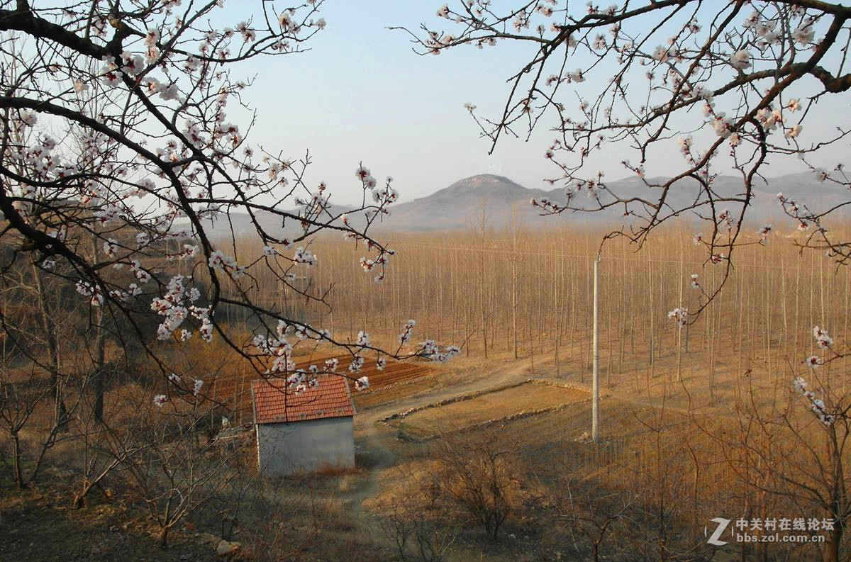 『冬去春来』123...12p