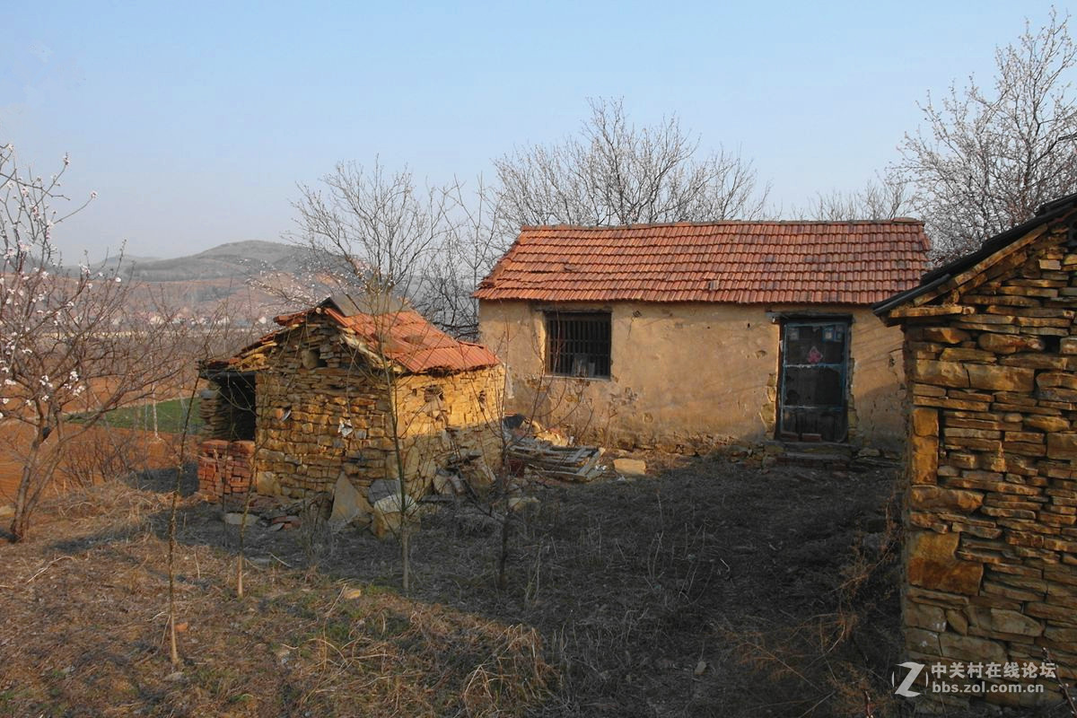 『冬去春来』123...12p