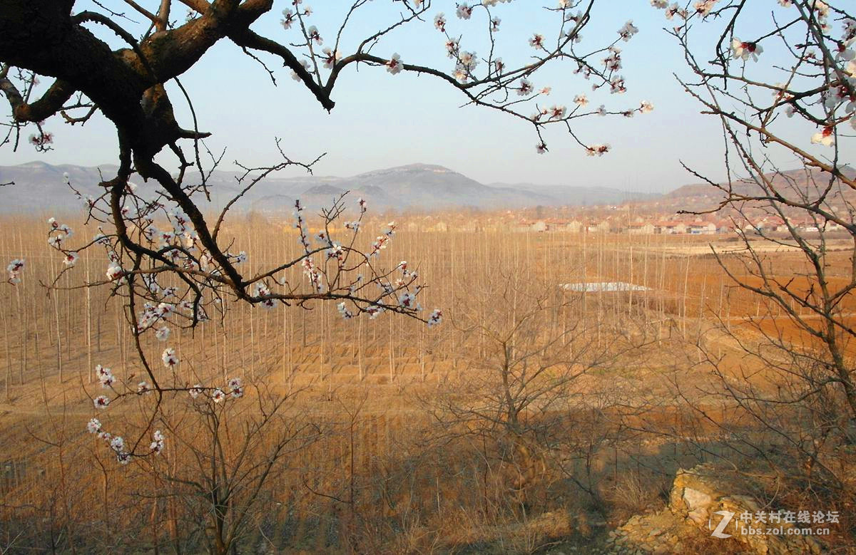 『冬去春来』123...12p