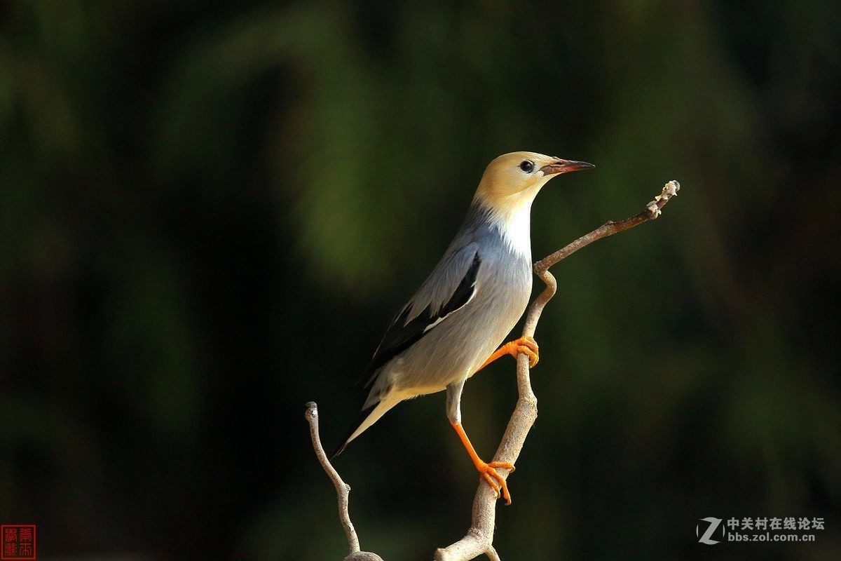 #版主坐堂#《佳能70D摄影星空(中国)》2016年3月份优秀作品选编