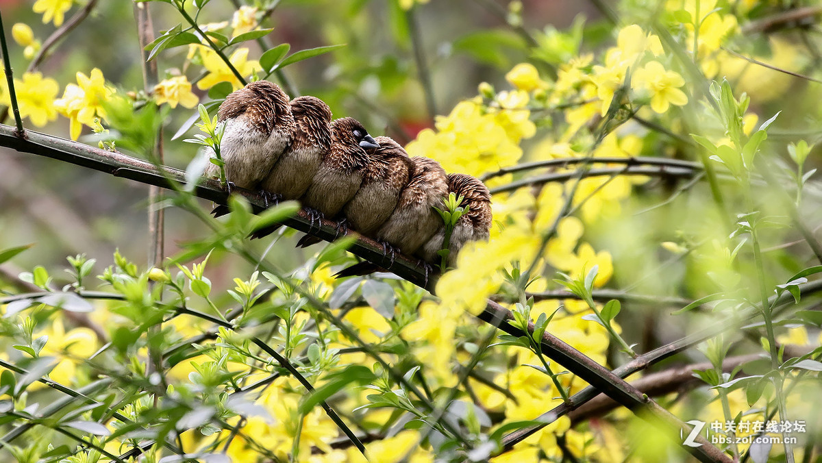 #版主坐堂#《佳能70D摄影星空(中国)》2016年3月份优秀作品选编