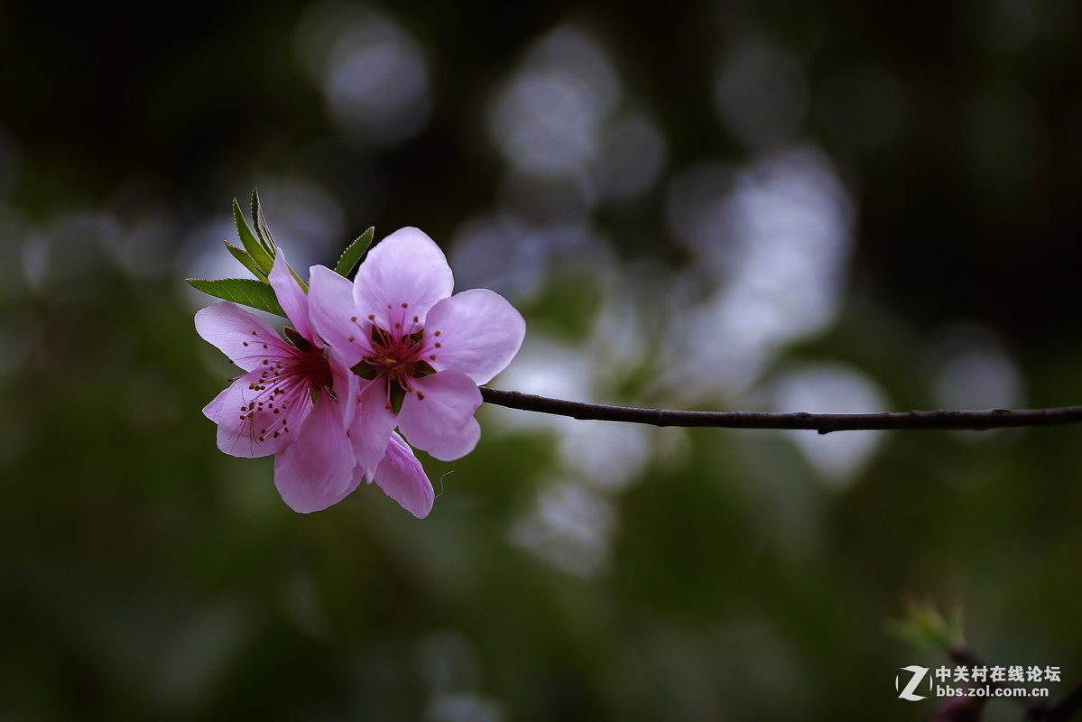 #版主坐堂#《佳能70D摄影星空(中国)》2016年3月份优秀作品选编