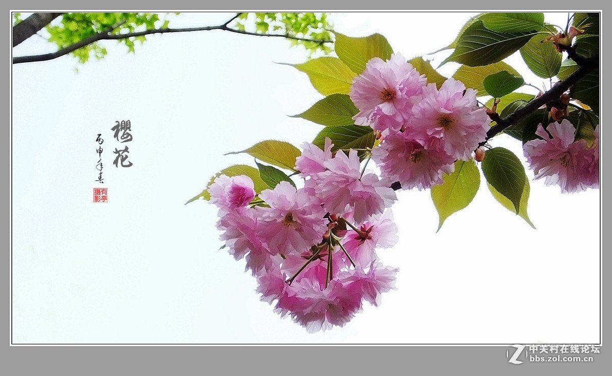 #版主坐堂#《自然风景星空(中国)每月精选》2016年4月份优秀作品选编