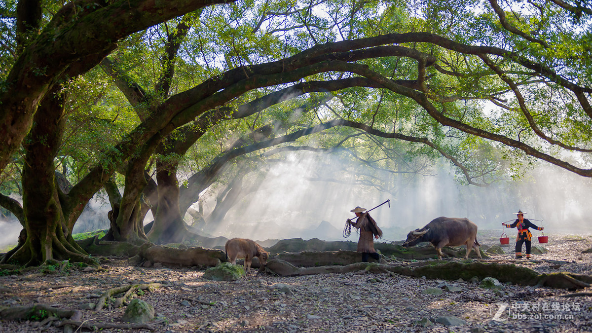 #版主坐堂#《自然风景星空(中国)每月精选》2016年4月份优秀作品选编