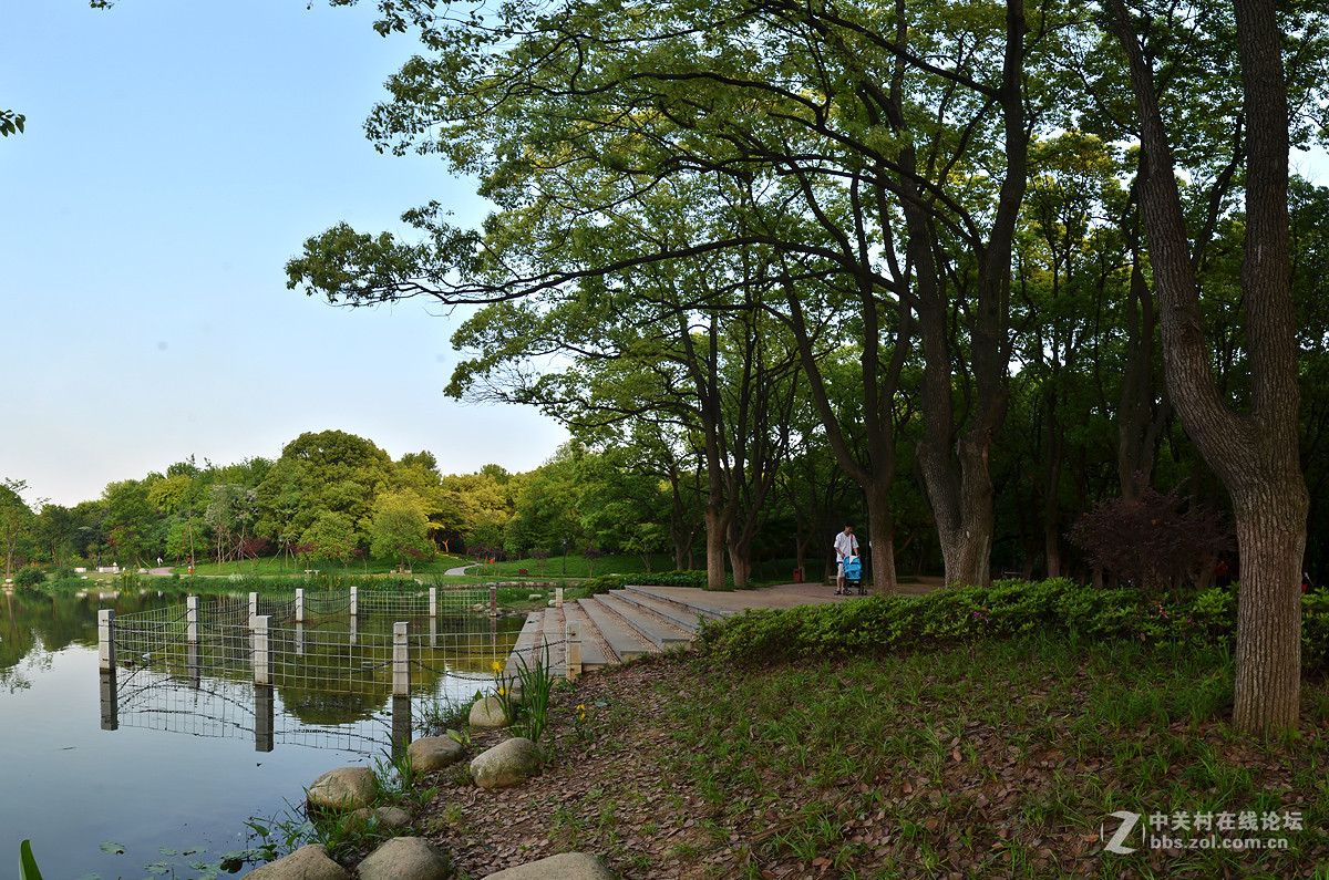 青山公園