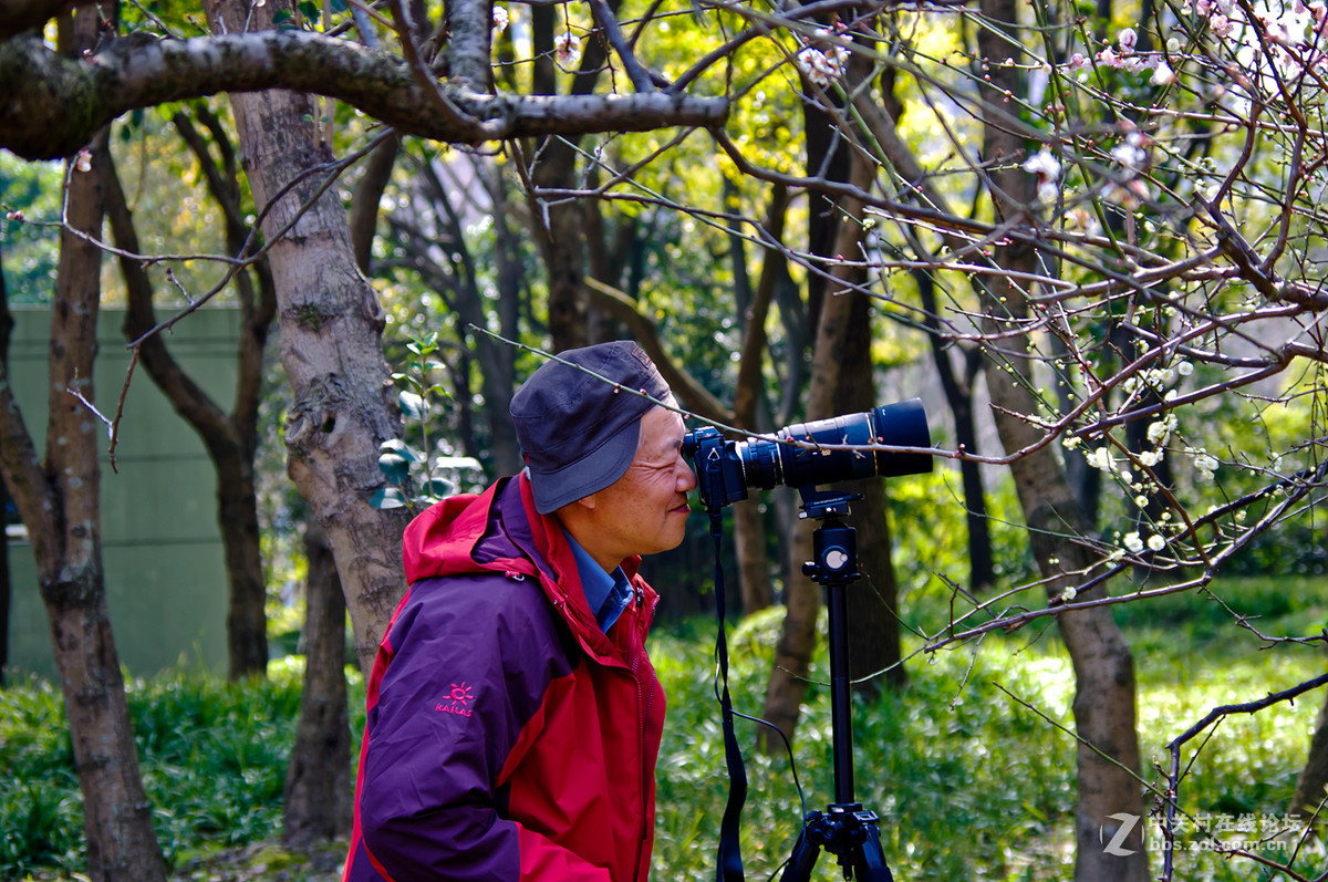 人在花丛世纪梅园杂拍