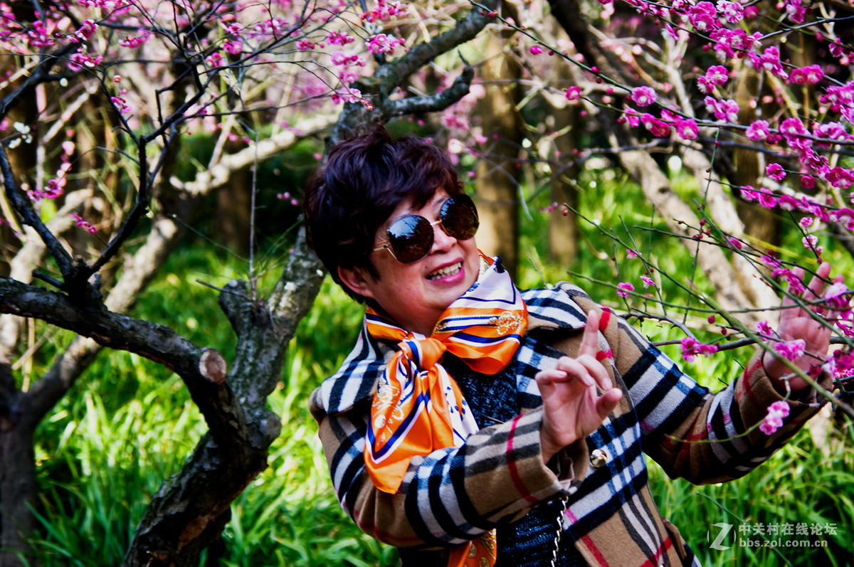 人在花丛世纪梅园杂拍