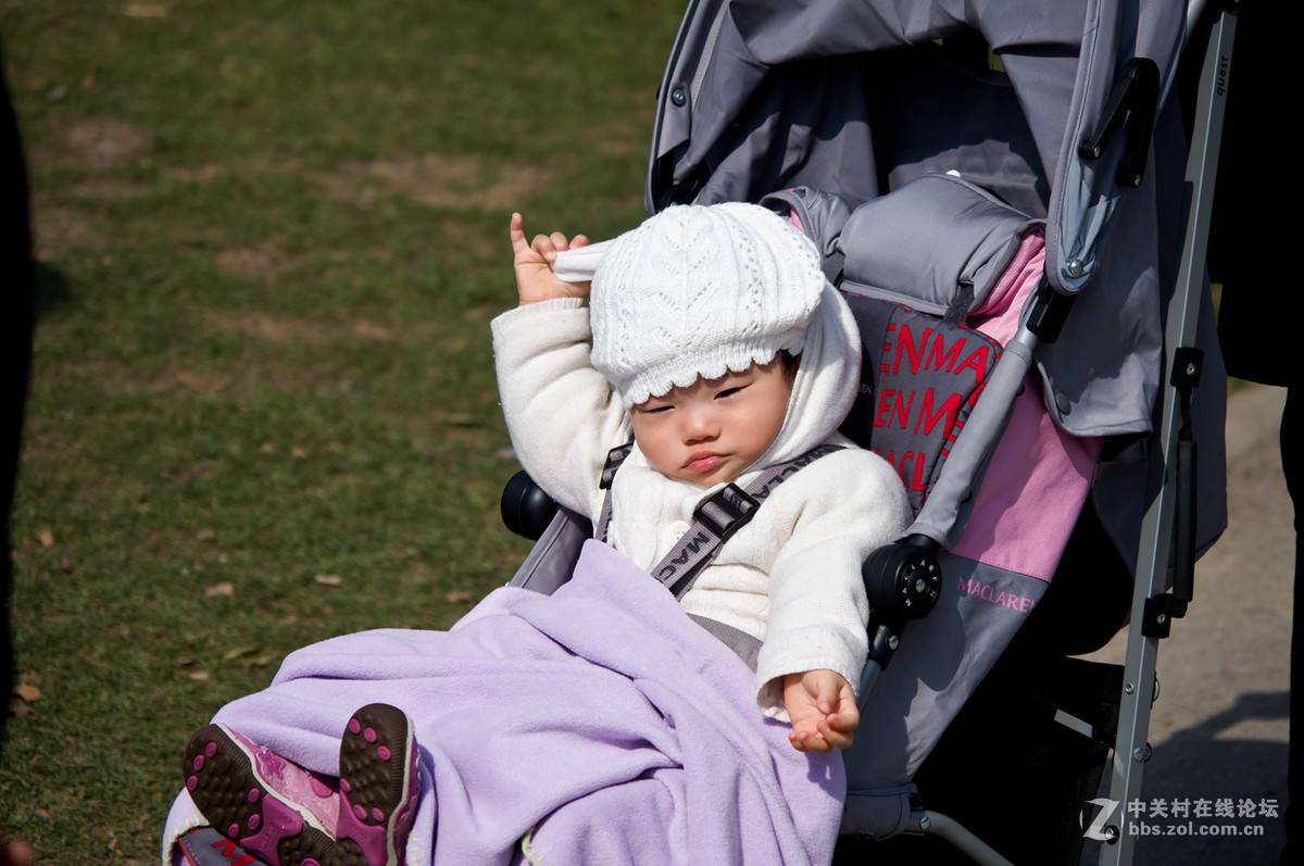 人在花丛世纪梅园杂拍