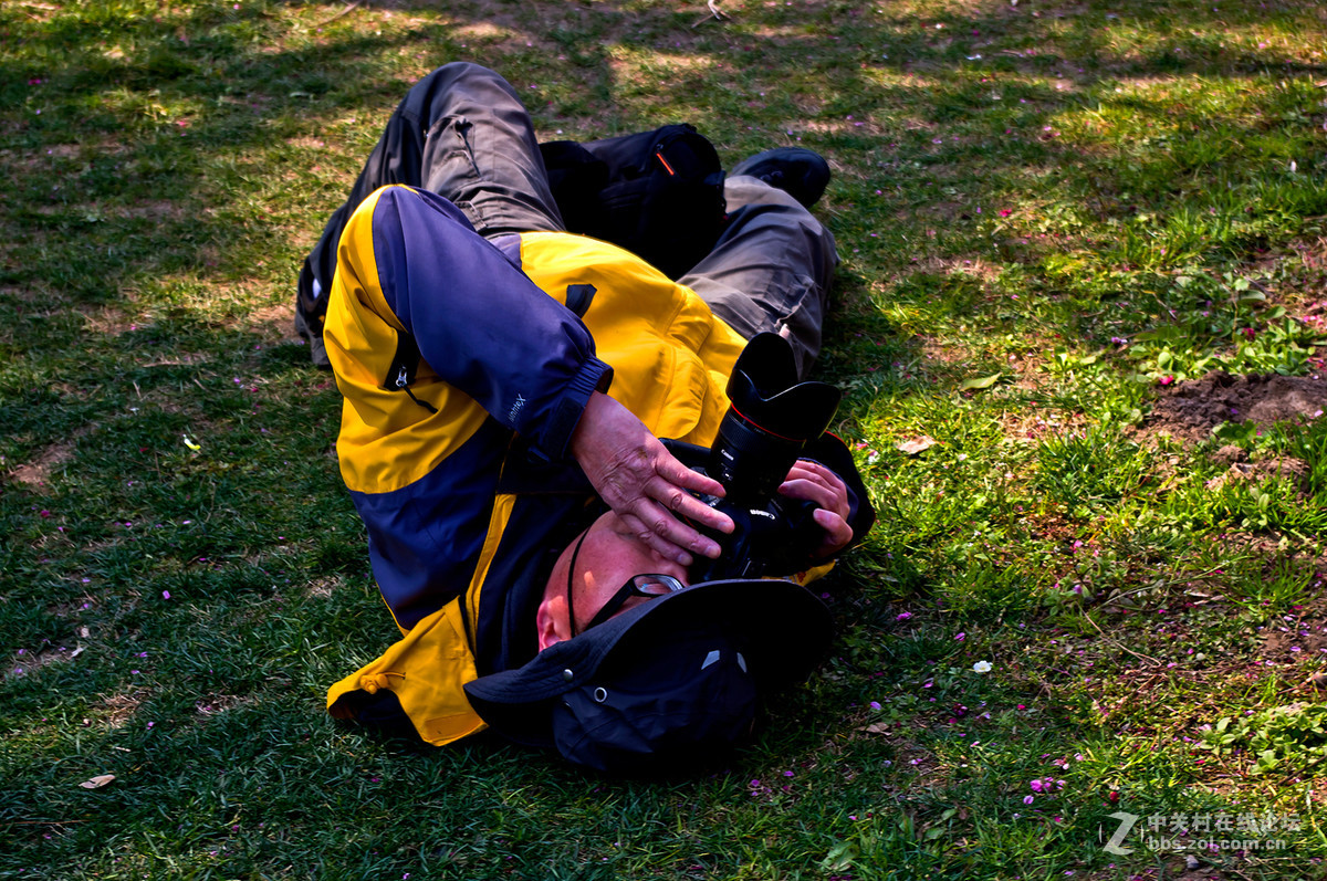 人在花丛世纪梅园杂拍