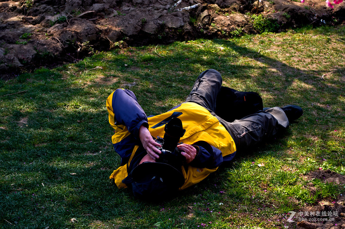 人在花丛世纪梅园杂拍