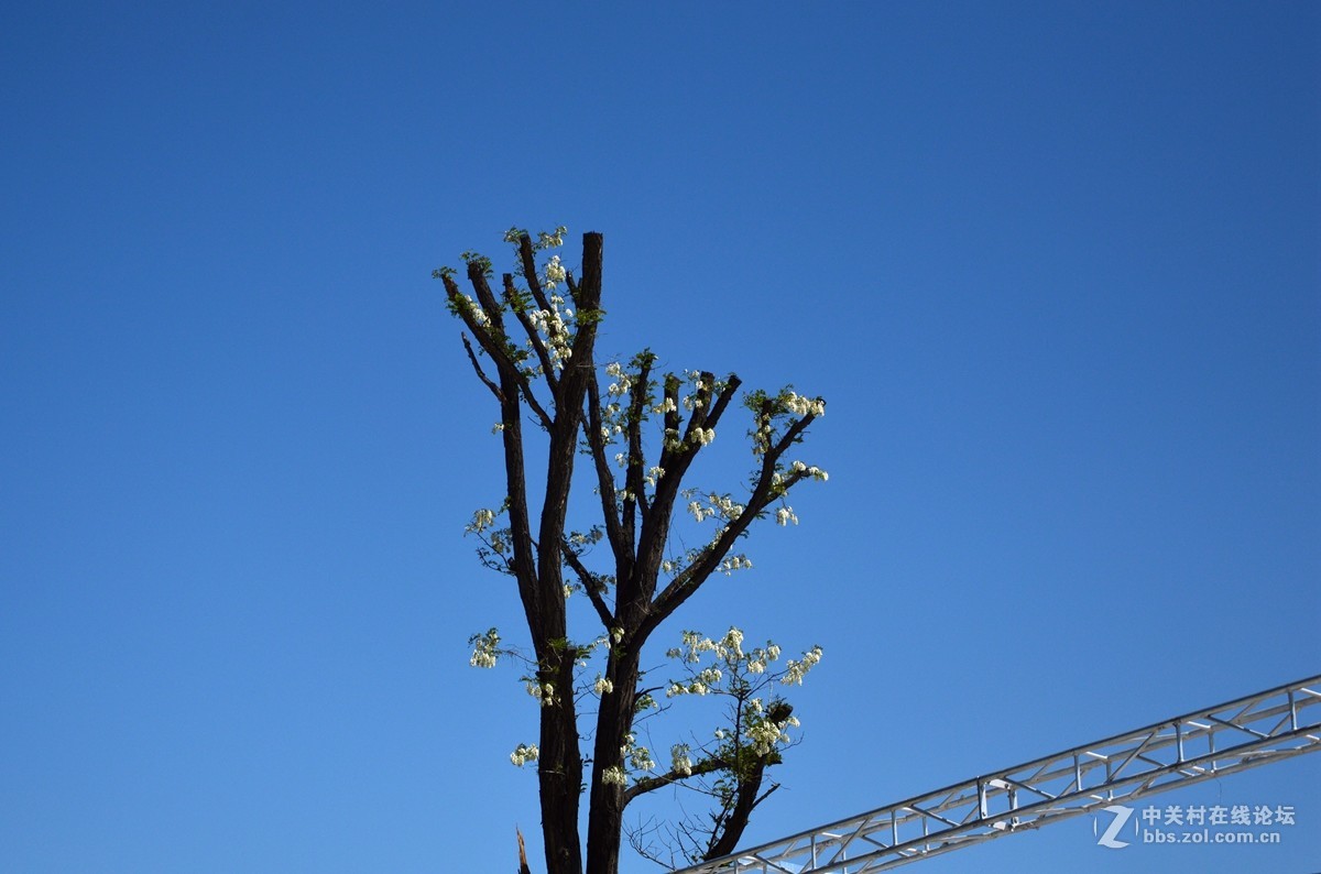 八里唐文创小镇