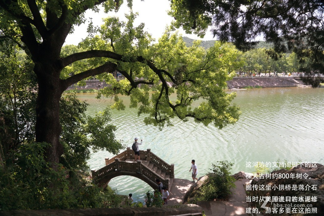 蒋委员长生前故乡————奉化溪口镇行记