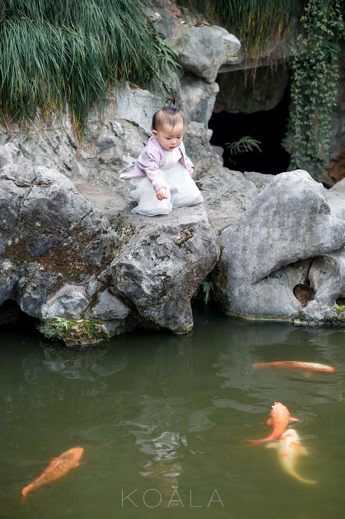 【考拉作品】百年胡宅一日游