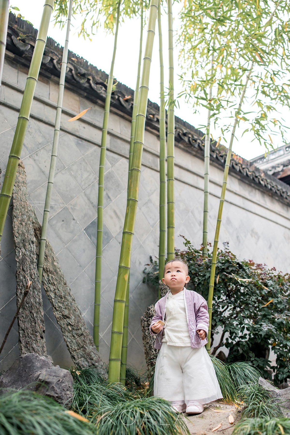 【考拉作品】百年胡宅一日游