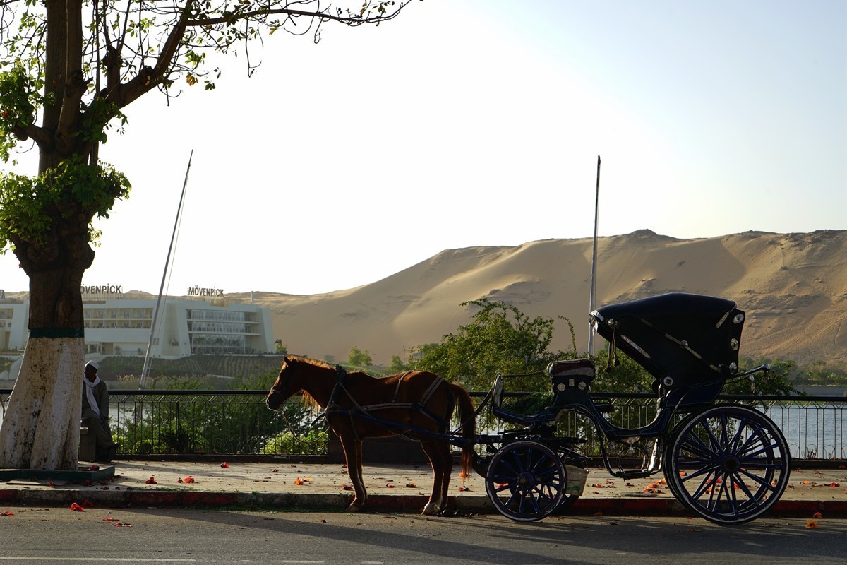 180318-埃及尼罗河风光（2）