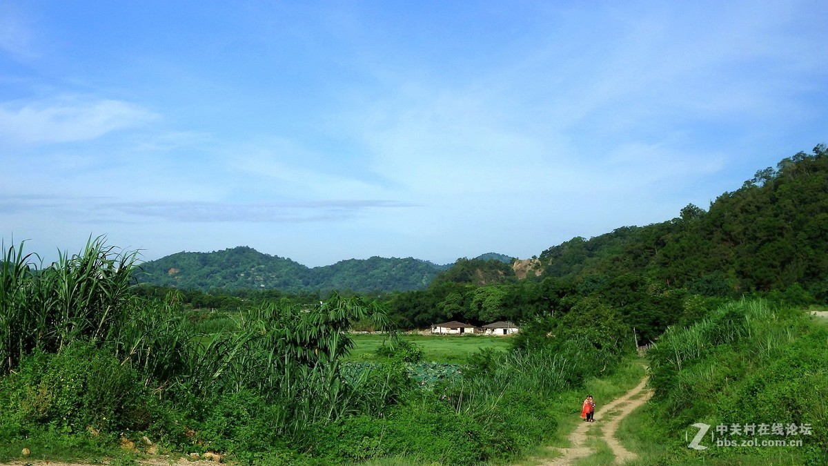 田园风光