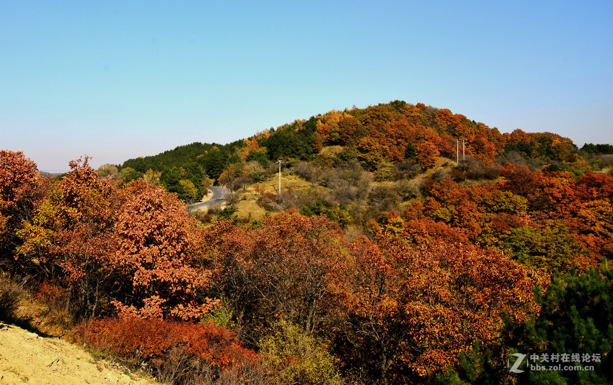 陕西黄龙秋色美