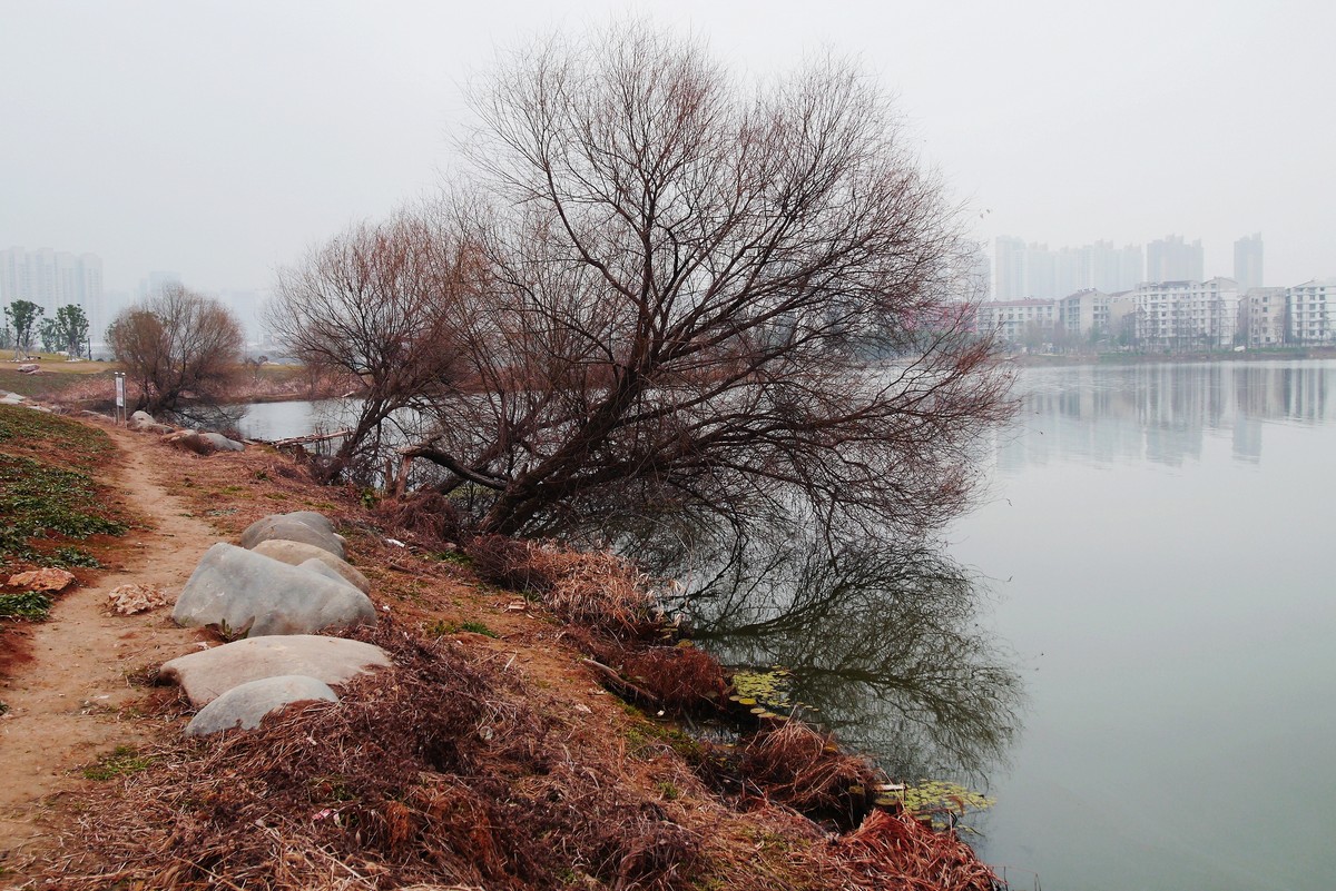 冬日的城中小湖边。。。。。。。。。