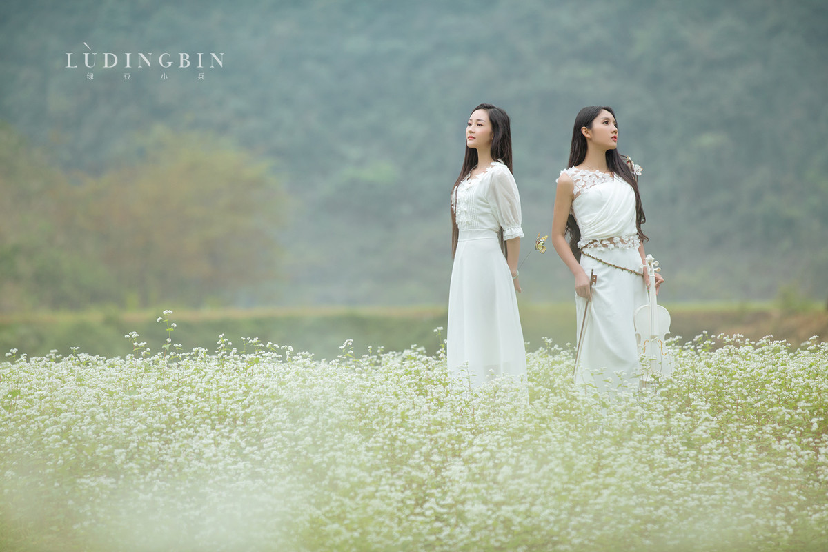 姐妹花绿豆小兵人像作品