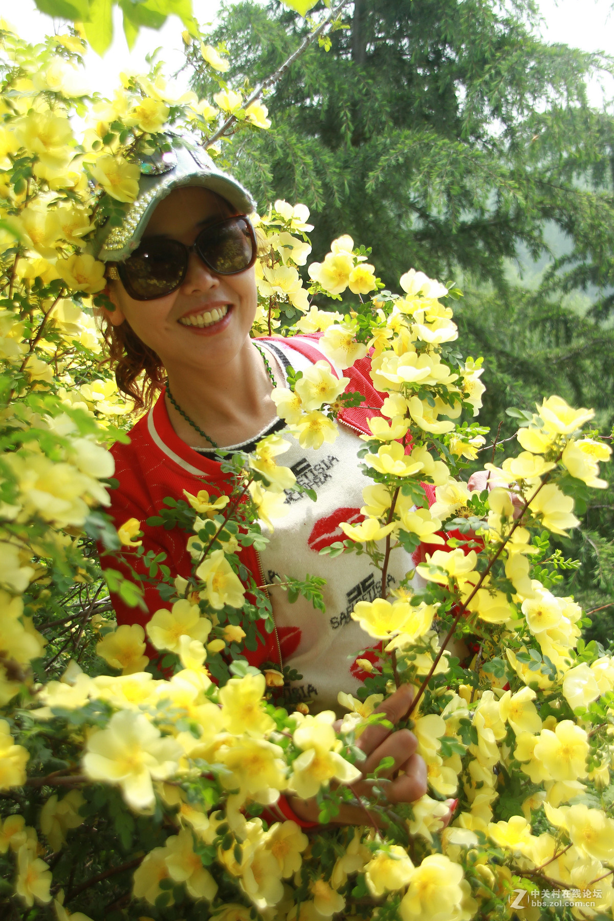 当惜春光黄金贵