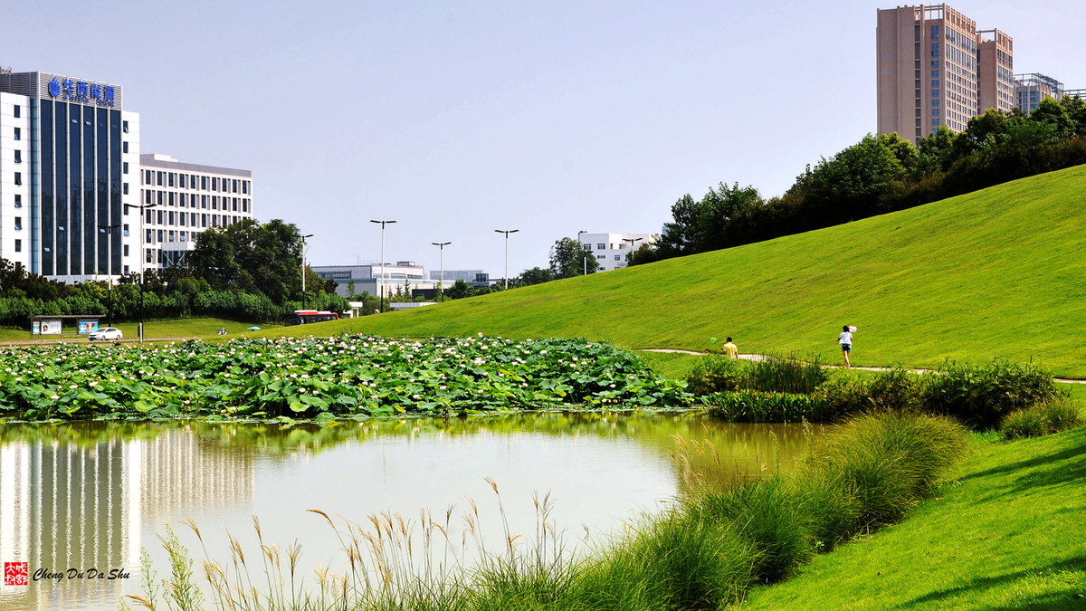 夏日湿地一瞥【3】