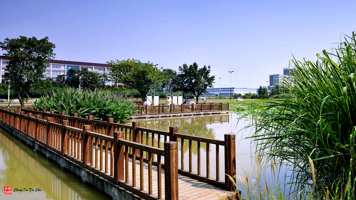 夏日湿地一瞥【3】