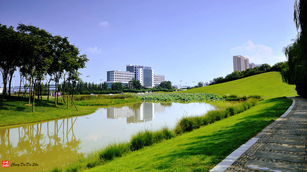 夏日湿地一瞥【3】