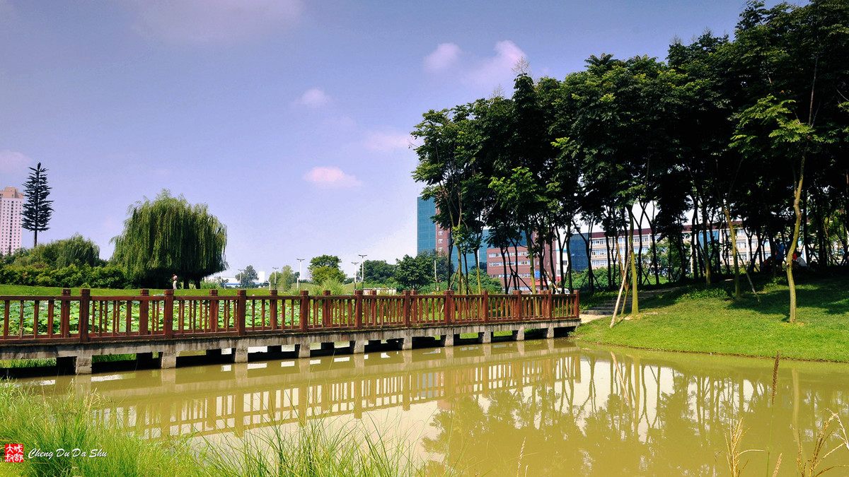 夏日湿地一瞥【3】