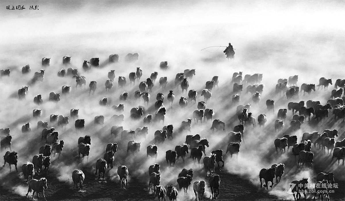 坝上摄影 千军万马在坝上
