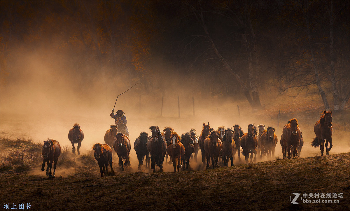 坝上摄影 千军万马在坝上