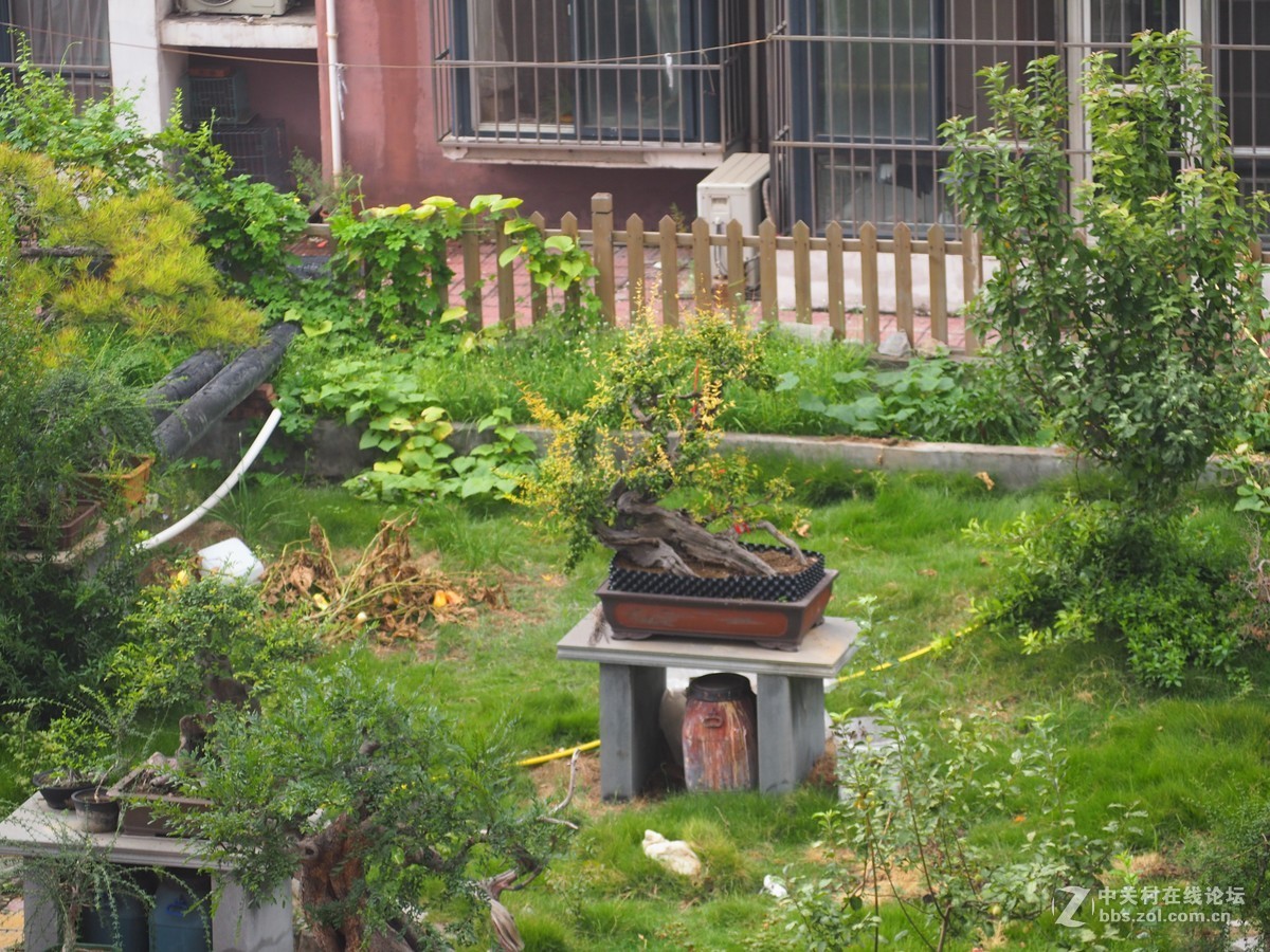 风景