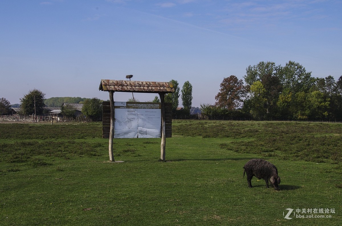塞尔维亚随拍（4）——扎撒维卡