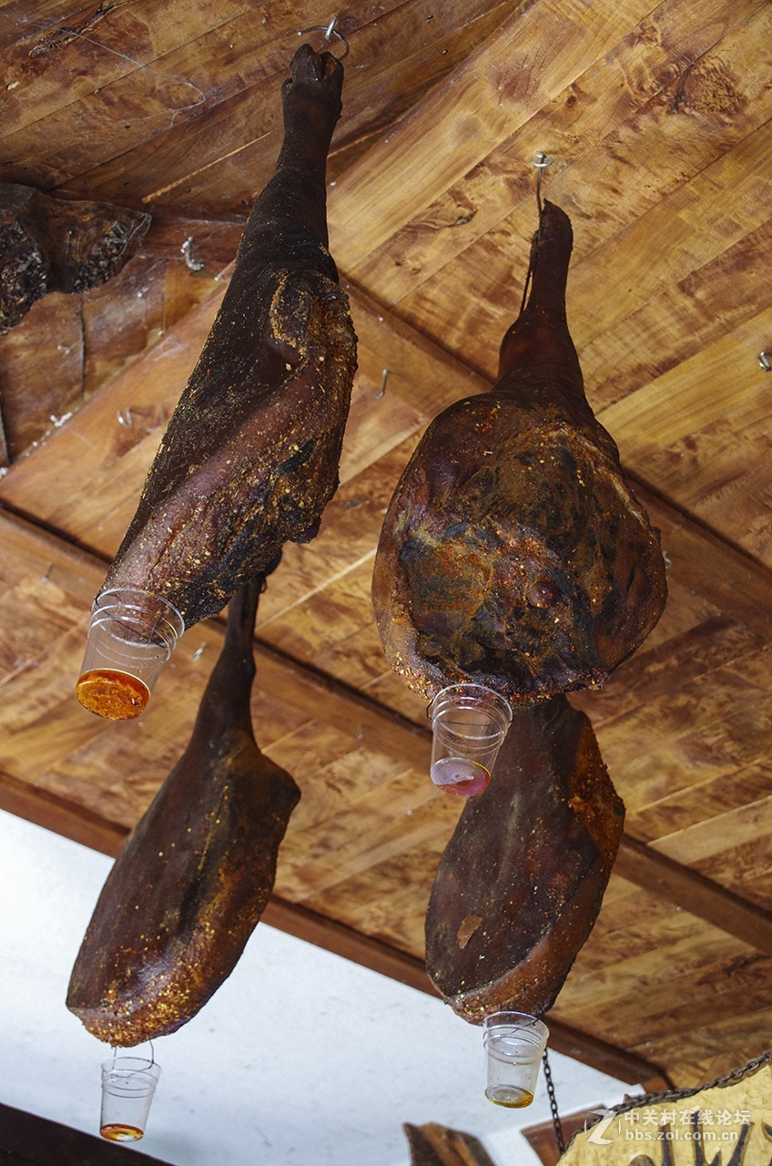 塞尔维亚随拍（4）——扎撒维卡