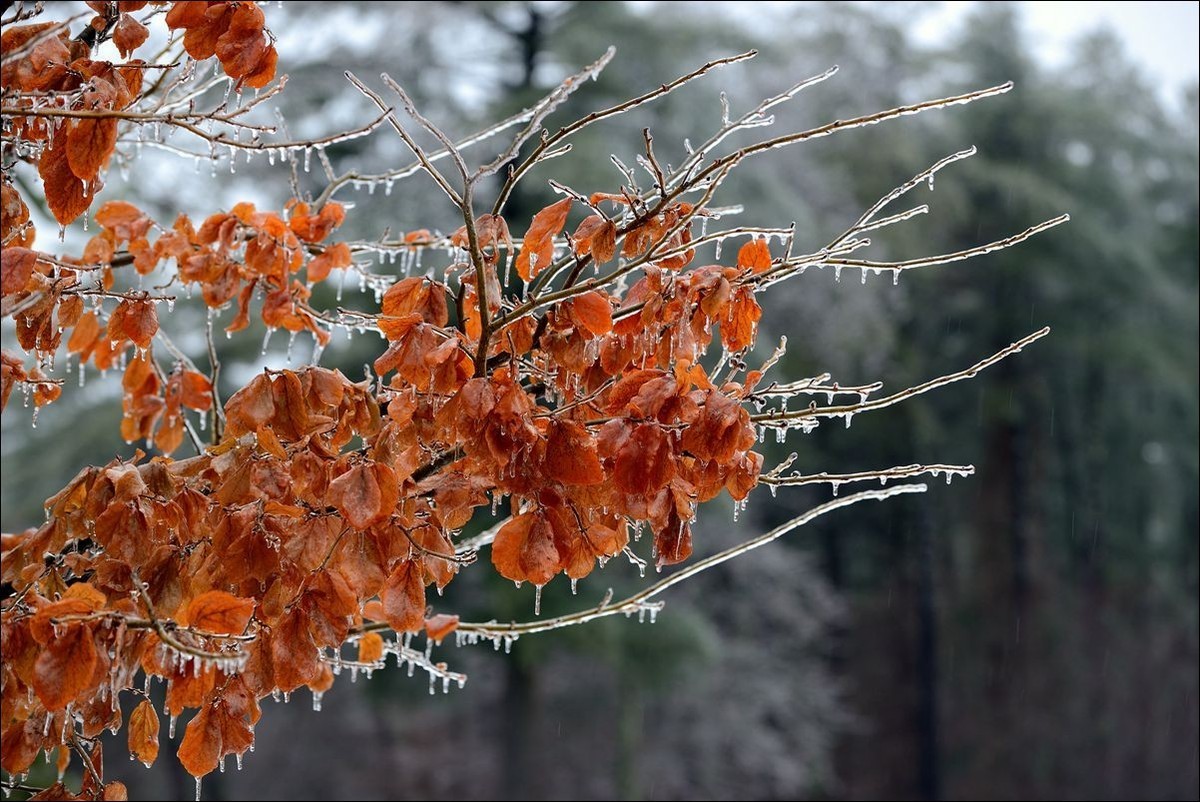 休闲随拍（382）