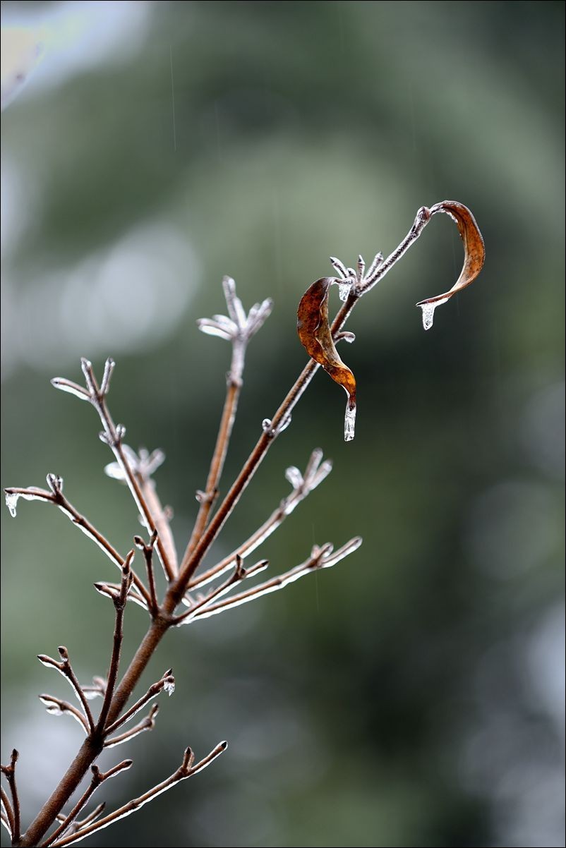 休闲随拍（382）